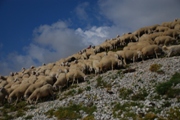 Clicca qui per vedere l'immagine in dettaglio